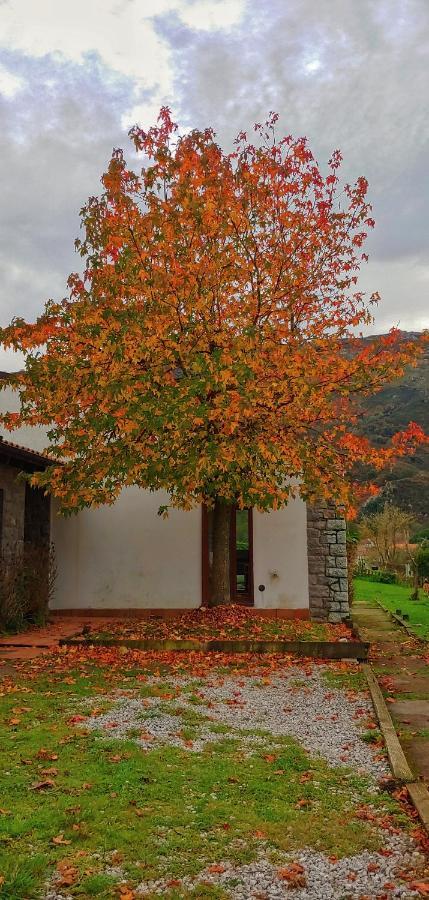 La Calma De Llanes Villa Eksteriør billede